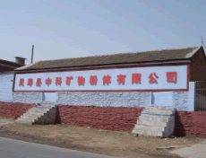 LING SHOU CHINA TECHNOLOGY MINERALS POWDER CO.,LTD